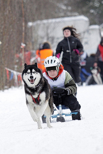 era_dog_prize2.jpg